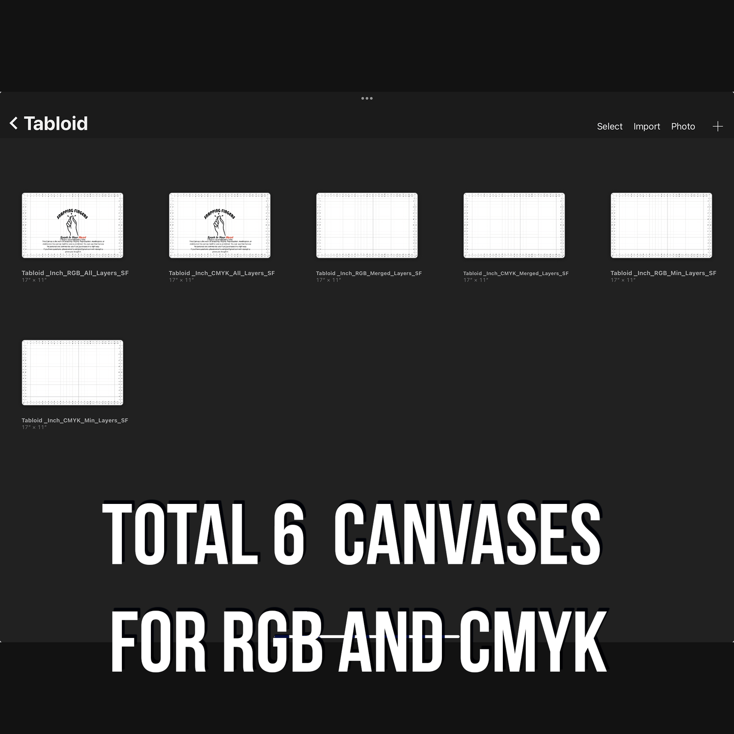Tabloid Size Procreate Ruler & Grid Canvas | in Inches with 22 High - Quality Brushes for Advanced Design, Illustration, and Tattoo Projects - snappingfingers_shop